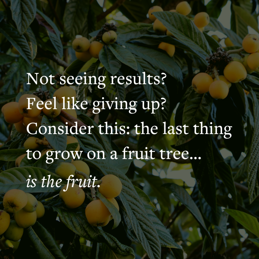 Not seeing results? Feel like giving up? Consider this: the last thing to grow on a fruit tree… is the fruit.